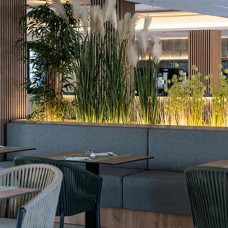Thb Bamboo Alcudia - Adults Only